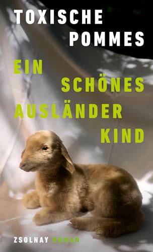 Ein schönes Ausländerkind: Roman von Paul Zsolnay Verlag